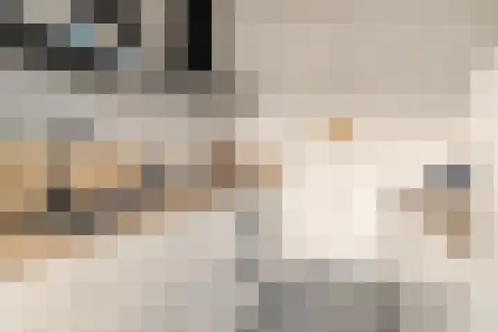 Koningsvaren 28 Purmerend thumbnail 5
