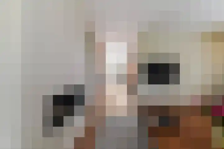 Koningsvaren 3 Oisterwijk thumbnail 11