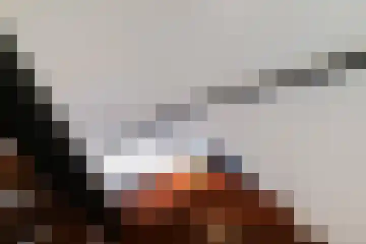 Koningsvaren 3 Oisterwijk thumbnail 24