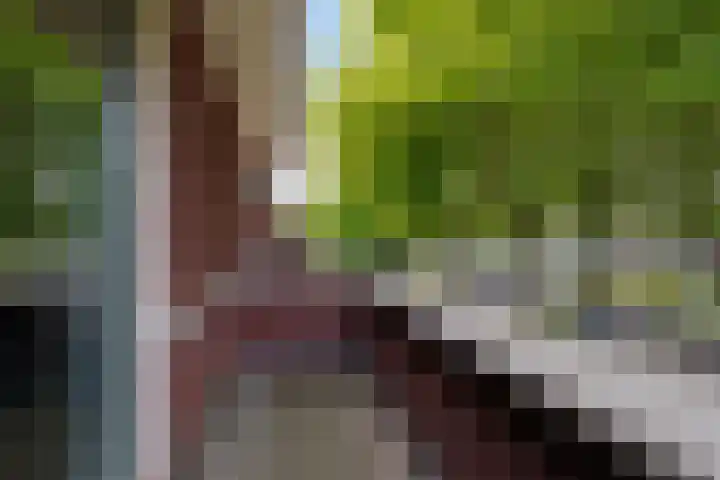 Koningsvaren 3 Oisterwijk thumbnail 30