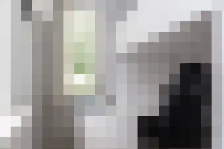 Koningsvaren 3 Oisterwijk thumbnail 32