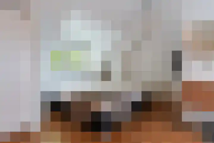 Koningsvaren 3 Oisterwijk thumbnail 36