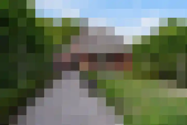 Koningsvaren 3 Oisterwijk thumbnail 52