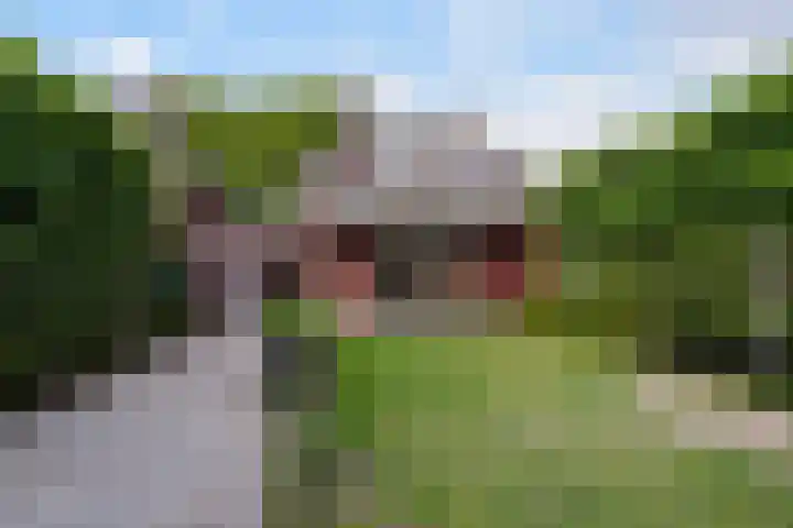 Koningsvaren 3 Oisterwijk thumbnail 53