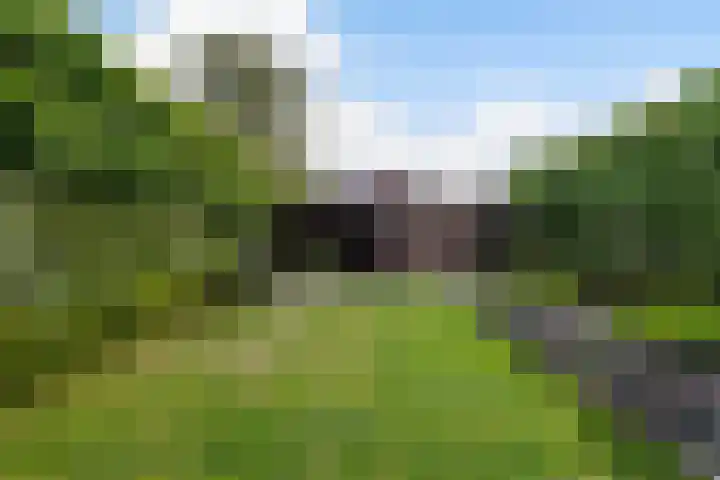 Koningsvaren 3 Oisterwijk thumbnail 54