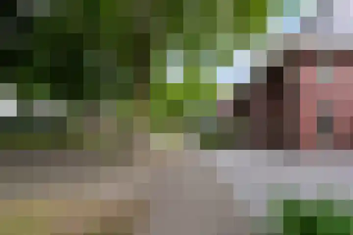 Koningsvaren 3 Oisterwijk thumbnail 56