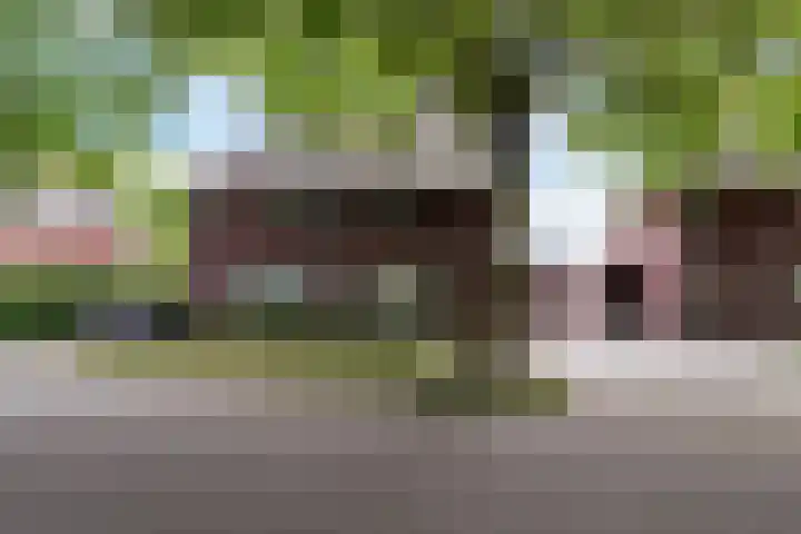 Koningsvaren 3 Oisterwijk thumbnail 57