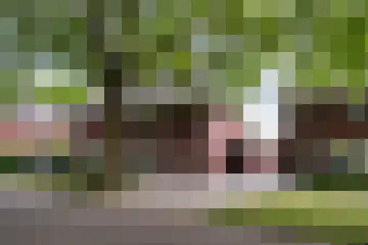 Koningsvaren 3 Oisterwijk thumbnail 58