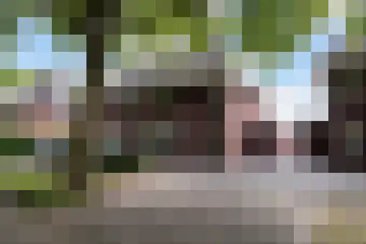 Koningsvaren 3 Oisterwijk thumbnail 59
