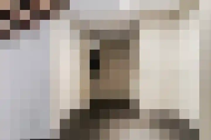 Koningsvaren 3 Oisterwijk thumbnail 9