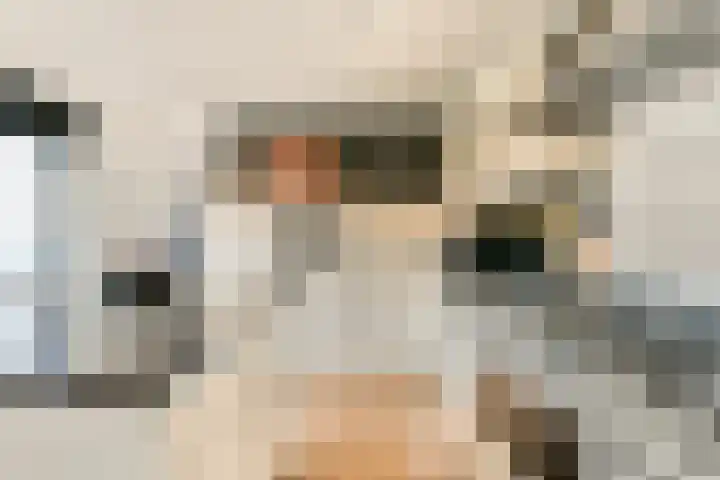 Koningsvaren 30 Bergschenhoek thumbnail 12