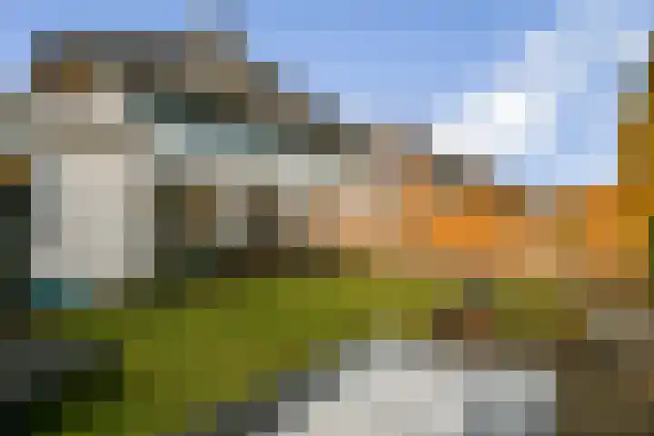 Koningsvaren 30 Bergschenhoek thumbnail 18