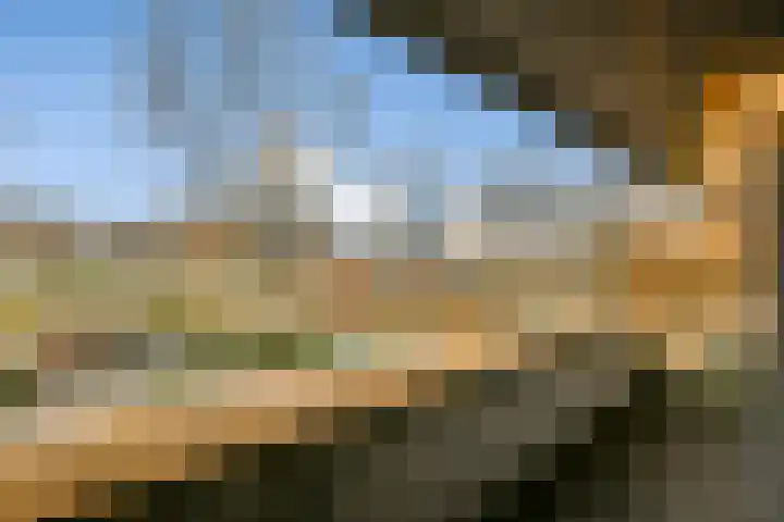 Koningsvaren 30 Bergschenhoek thumbnail 25