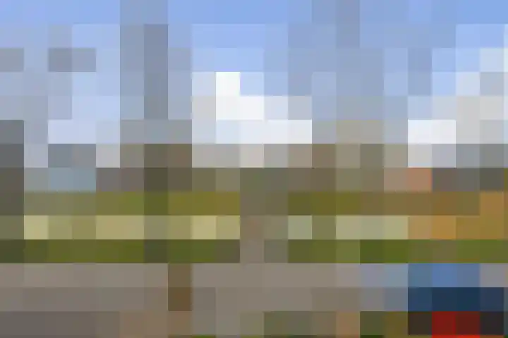 Koningsvaren 30 Bergschenhoek thumbnail 26