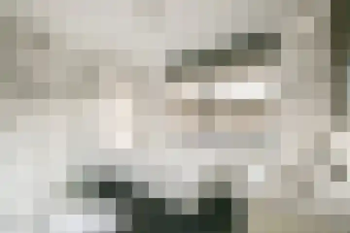 Koningsvaren 30 Bergschenhoek thumbnail 27