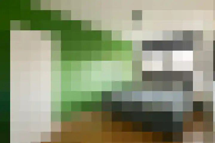 Koningsvaren 30 Bergschenhoek thumbnail 28