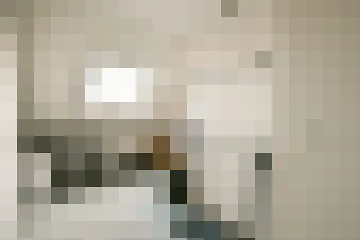 Koningsvaren 30 Bergschenhoek thumbnail 30