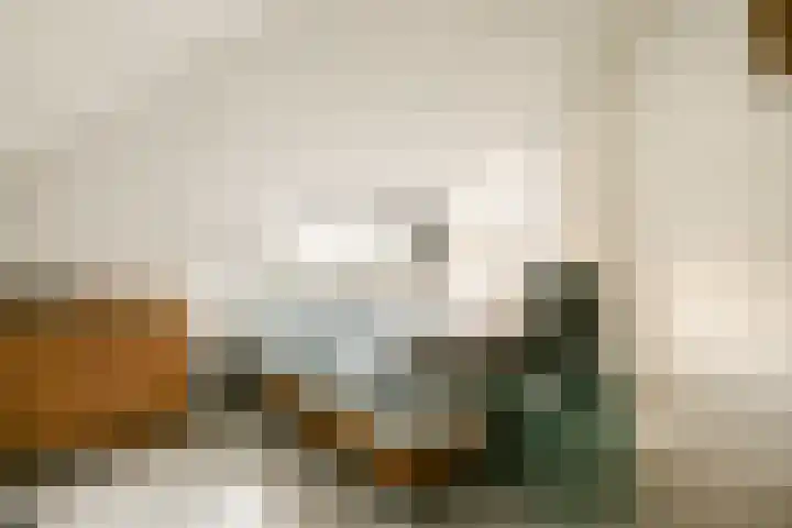 Koningsvaren 30 Bergschenhoek thumbnail 31