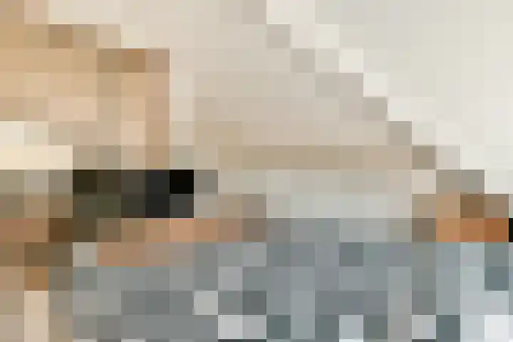 Koningsvaren 30 Bergschenhoek thumbnail 32