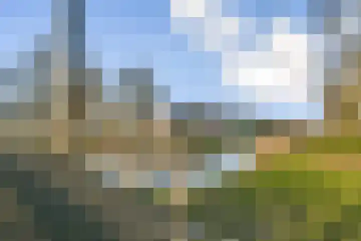 Koningsvaren 30 Bergschenhoek thumbnail 33