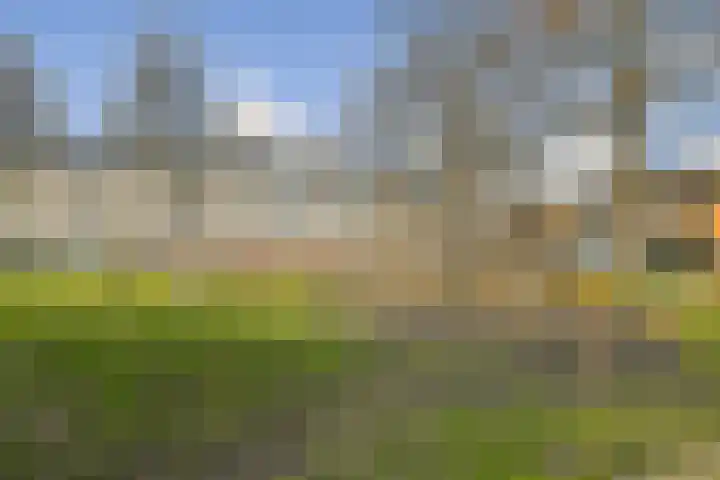 Koningsvaren 30 Bergschenhoek thumbnail 34