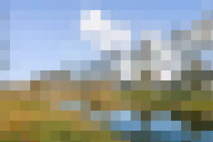 Koningsvaren 30 Bergschenhoek thumbnail 4