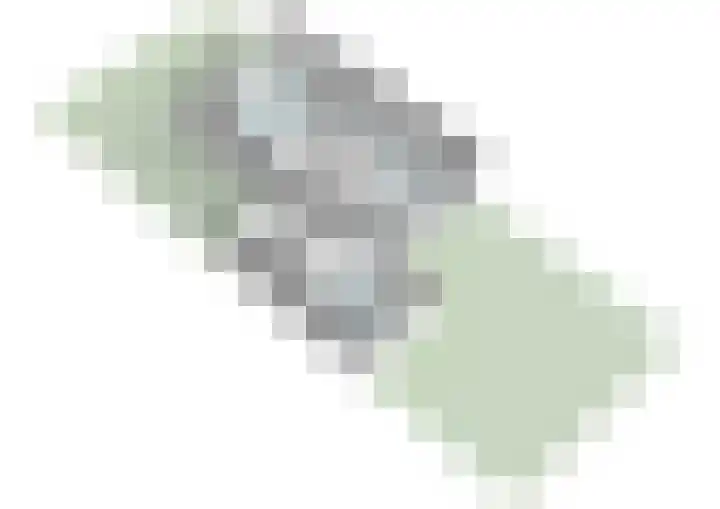 Koningsvaren 30 Bergschenhoek thumbnail 42