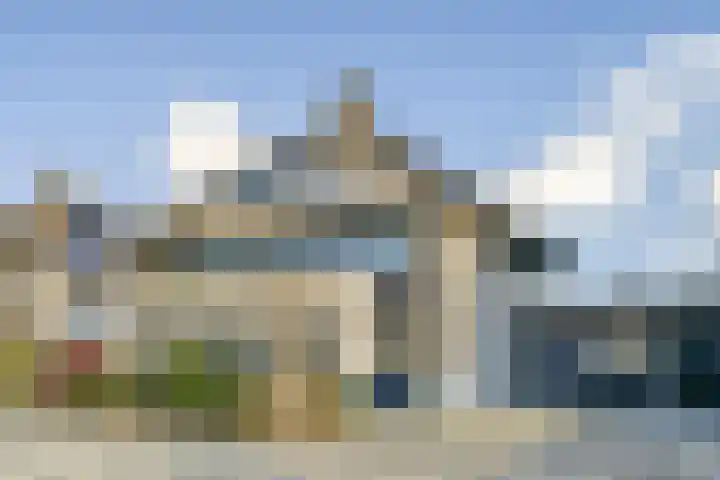 Koningsvaren 30 Bergschenhoek thumbnail 5