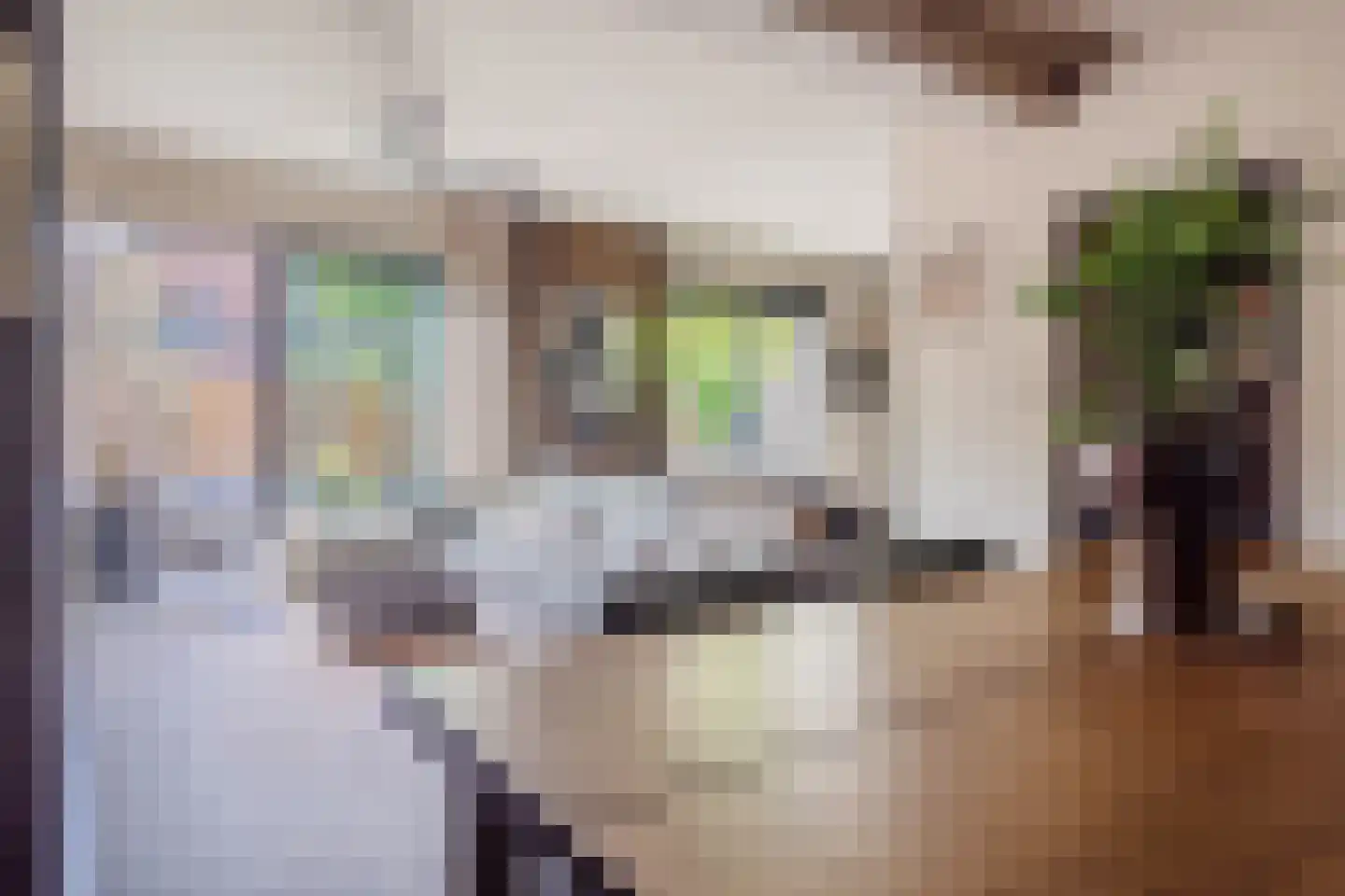 Koningsvaren 45 Purmerend thumbnail 7