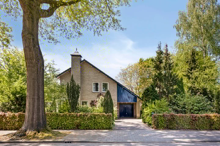 Koningsvaren 5 in Valkenswaard Foto