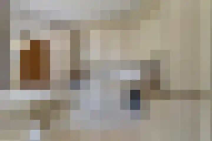 Koningsvaren 5 Valkenswaard thumbnail 12