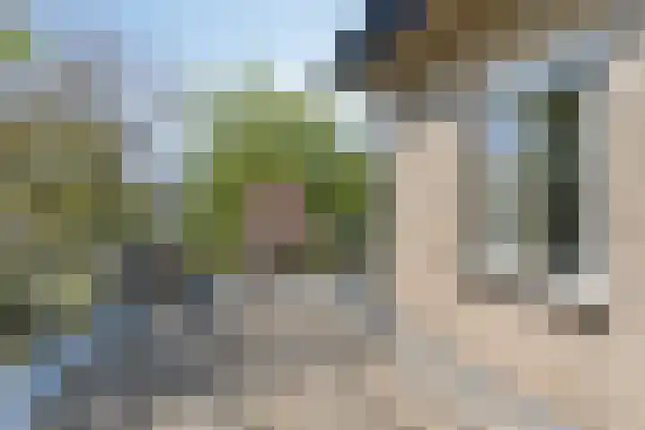 Koningsvaren 5 Valkenswaard thumbnail 20