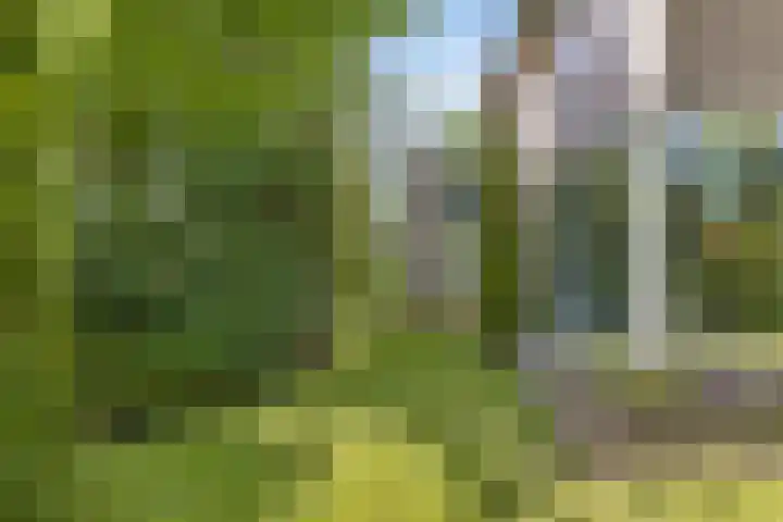 Koningsvaren 5 Valkenswaard thumbnail 32