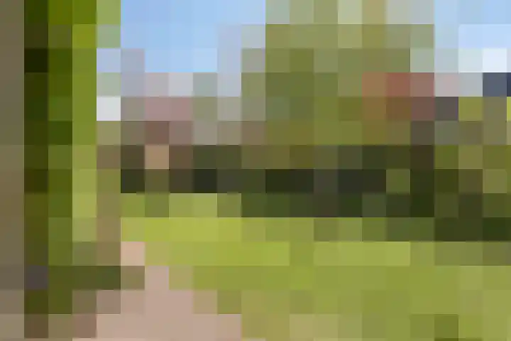 Koningsvaren 5 Valkenswaard thumbnail 33