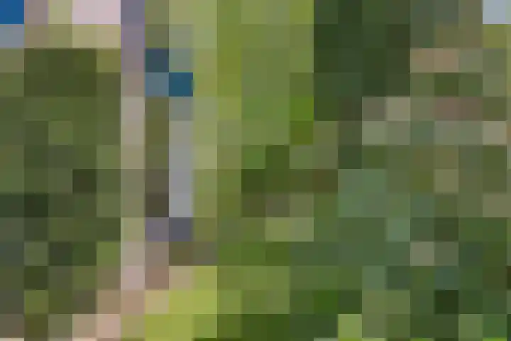 Koningsvaren 5 Valkenswaard thumbnail 34