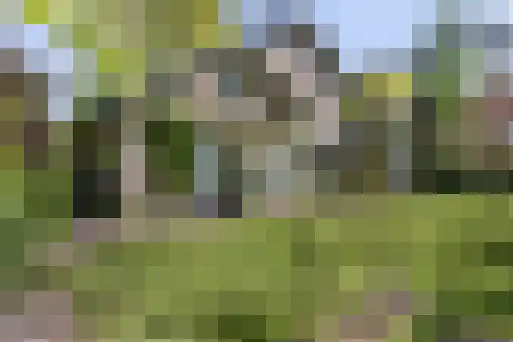 Koningsvaren 5 Valkenswaard thumbnail 36