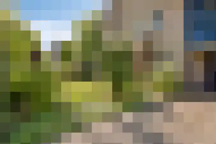 Koningsvaren 5 Valkenswaard thumbnail 37