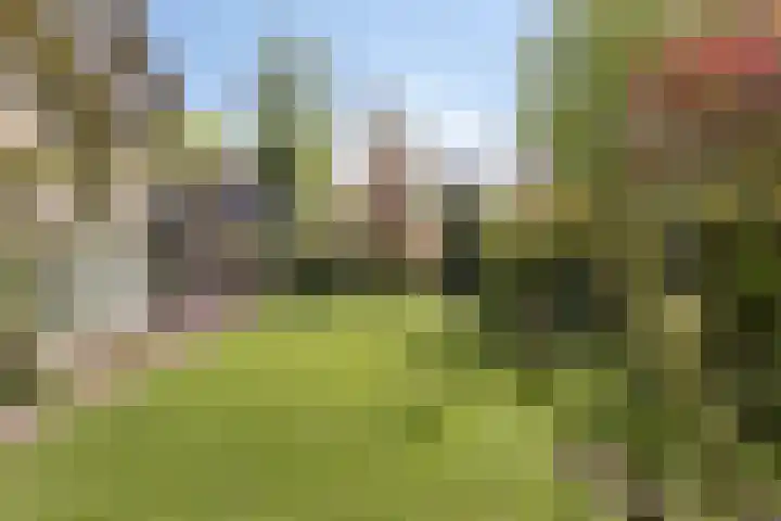 Koningsvaren 5 Valkenswaard thumbnail 38