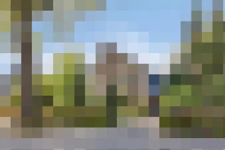 Koningsvaren 5 Valkenswaard thumbnail 44