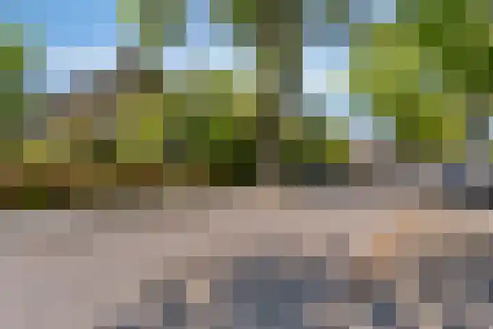 Koningsvaren 5 Valkenswaard thumbnail 45