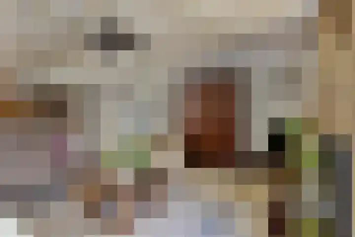 Koningsvaren 5 Valkenswaard thumbnail 7