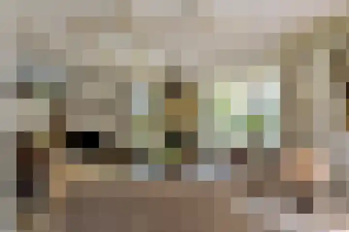 Koningsvaren 5 Valkenswaard thumbnail 8