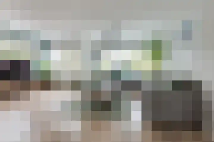 Koningsvaren 54 Bergschenhoek thumbnail 10
