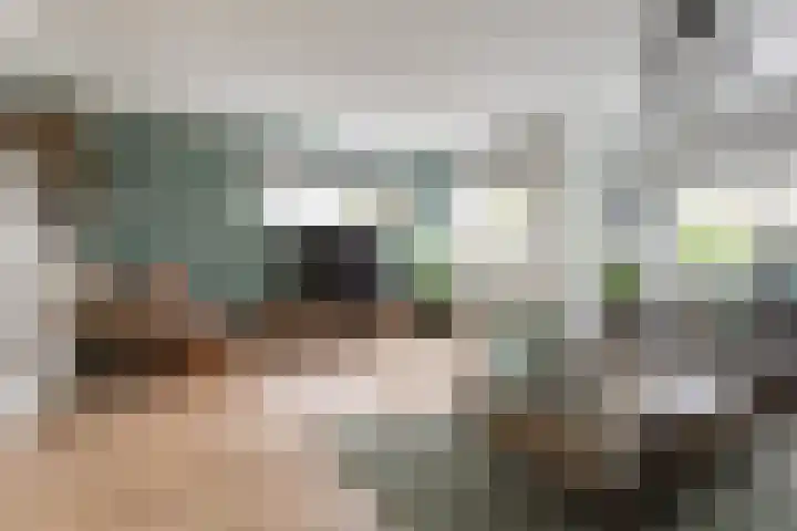 Koningsvaren 54 Bergschenhoek thumbnail 11