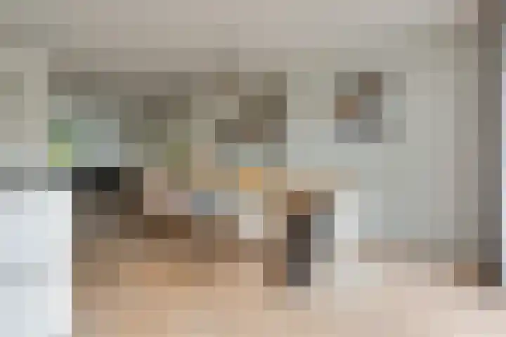Koningsvaren 54 Bergschenhoek thumbnail 13