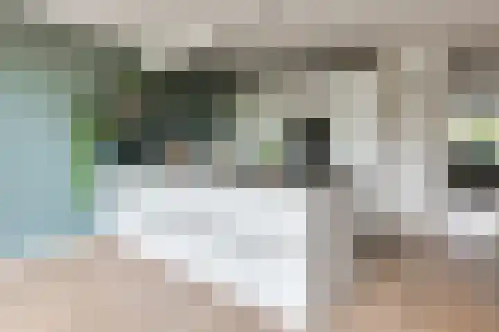 Koningsvaren 54 Bergschenhoek thumbnail 14