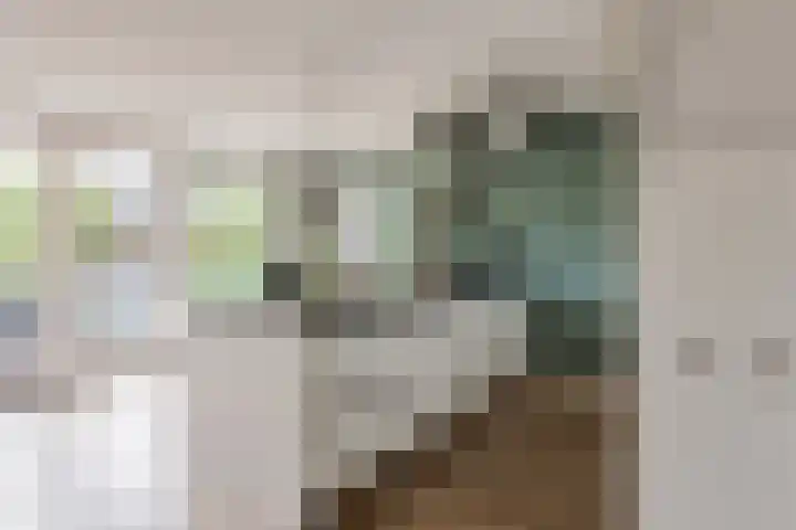 Koningsvaren 54 Bergschenhoek thumbnail 16