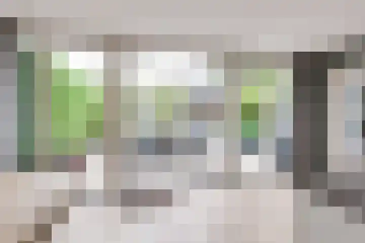 Koningsvaren 54 Bergschenhoek thumbnail 17