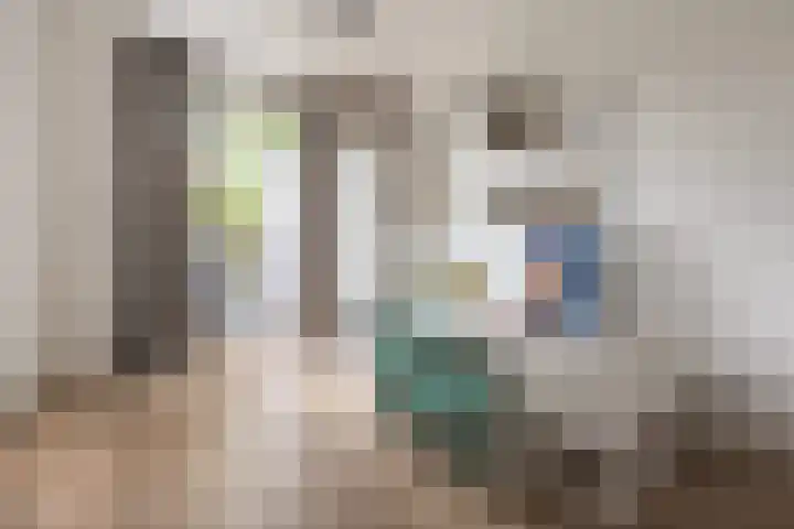 Koningsvaren 54 Bergschenhoek thumbnail 19