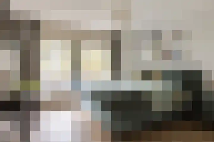 Koningsvaren 54 Bergschenhoek thumbnail 21